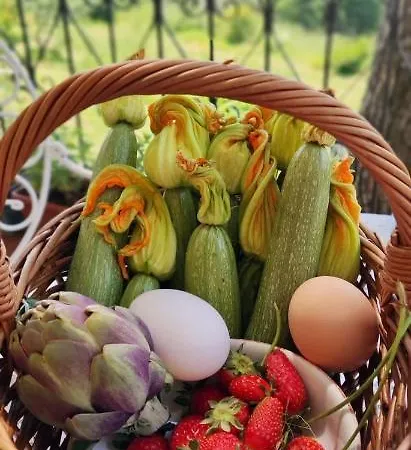 فندق مبيت وإفطار La Ginestra فوسدينوفو