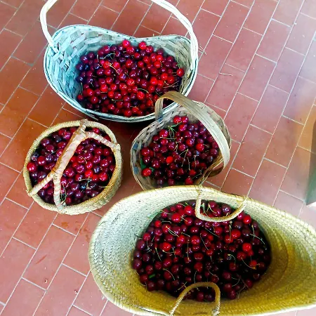 La Ginestra * フォズディノーヴォ