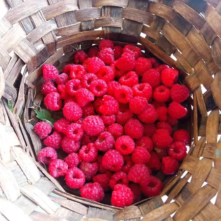 La Ginestra Bed & Breakfast Fosdinovo
