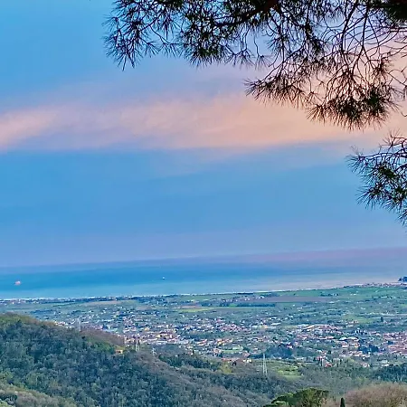 La Ginestra