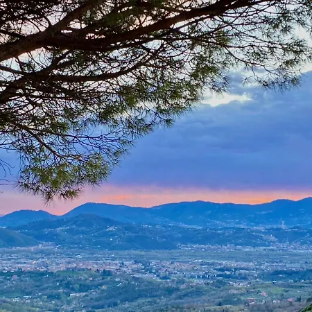La Ginestra