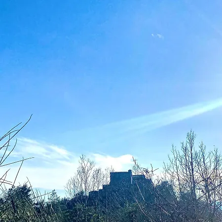 La Ginestra *