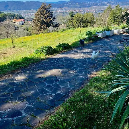 Bed & Breakfast La Ginestra *