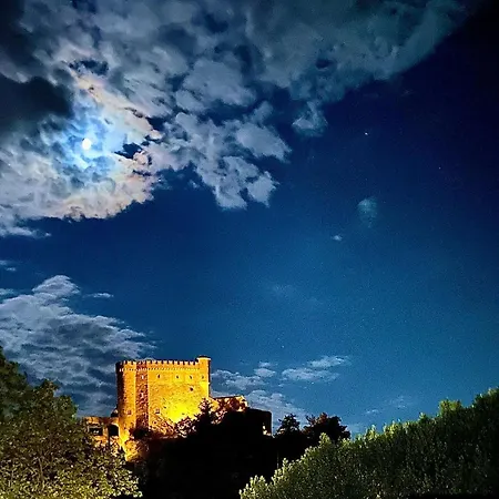 La Ginestra
