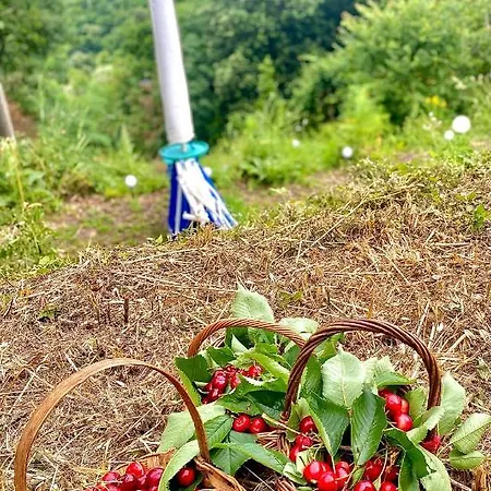 ベッド・アンド・ブレックファスト La Ginestra フォズディノーヴォ