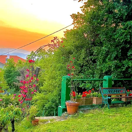 La Ginestra