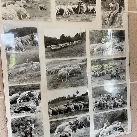 La Ginestra Frühstückspension