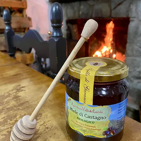 Frühstückspension La Ginestra