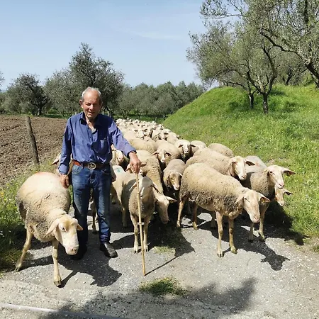 La Ginestra Frühstückspension Fosdinovo