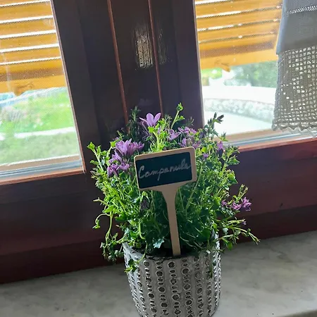 La Ginestra Fosdinovo