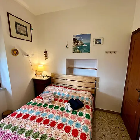 La Ginestra *