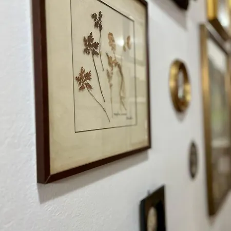 La Ginestra * Fosdinovo