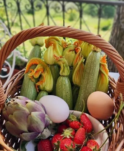Bed & Breakfast La Ginestra Fosdinovo