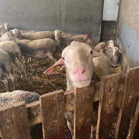 Nocleg ze śniadaniem La Ginestra Fosdinovo